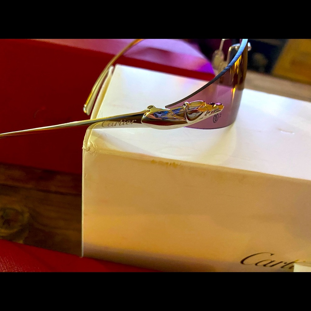 Carter Sun Glasses